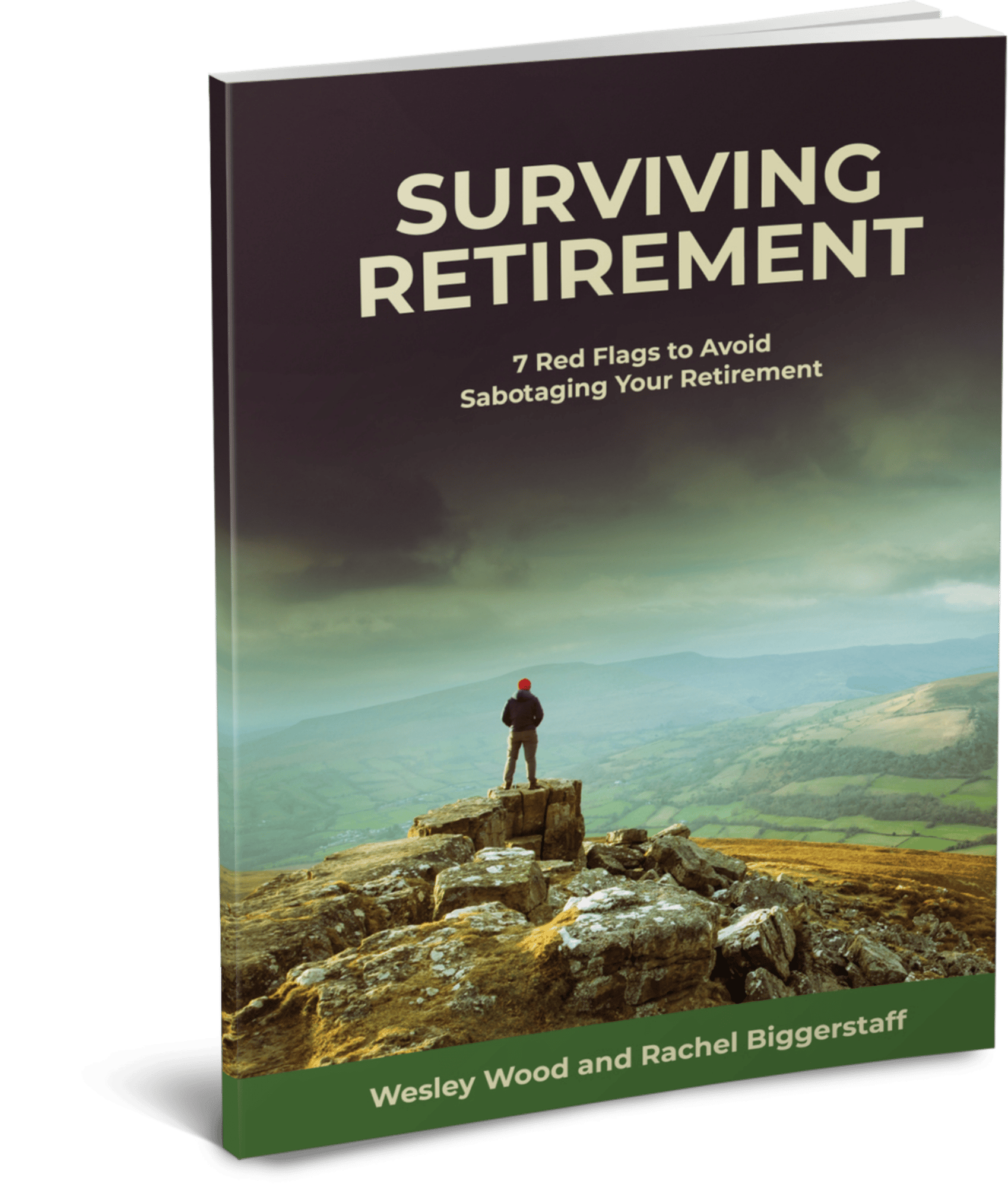 Surviving Retirement book